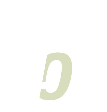 Own It 40+