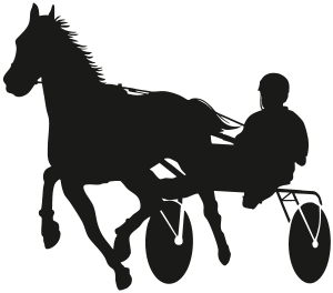 NZ Trotting Owners Association